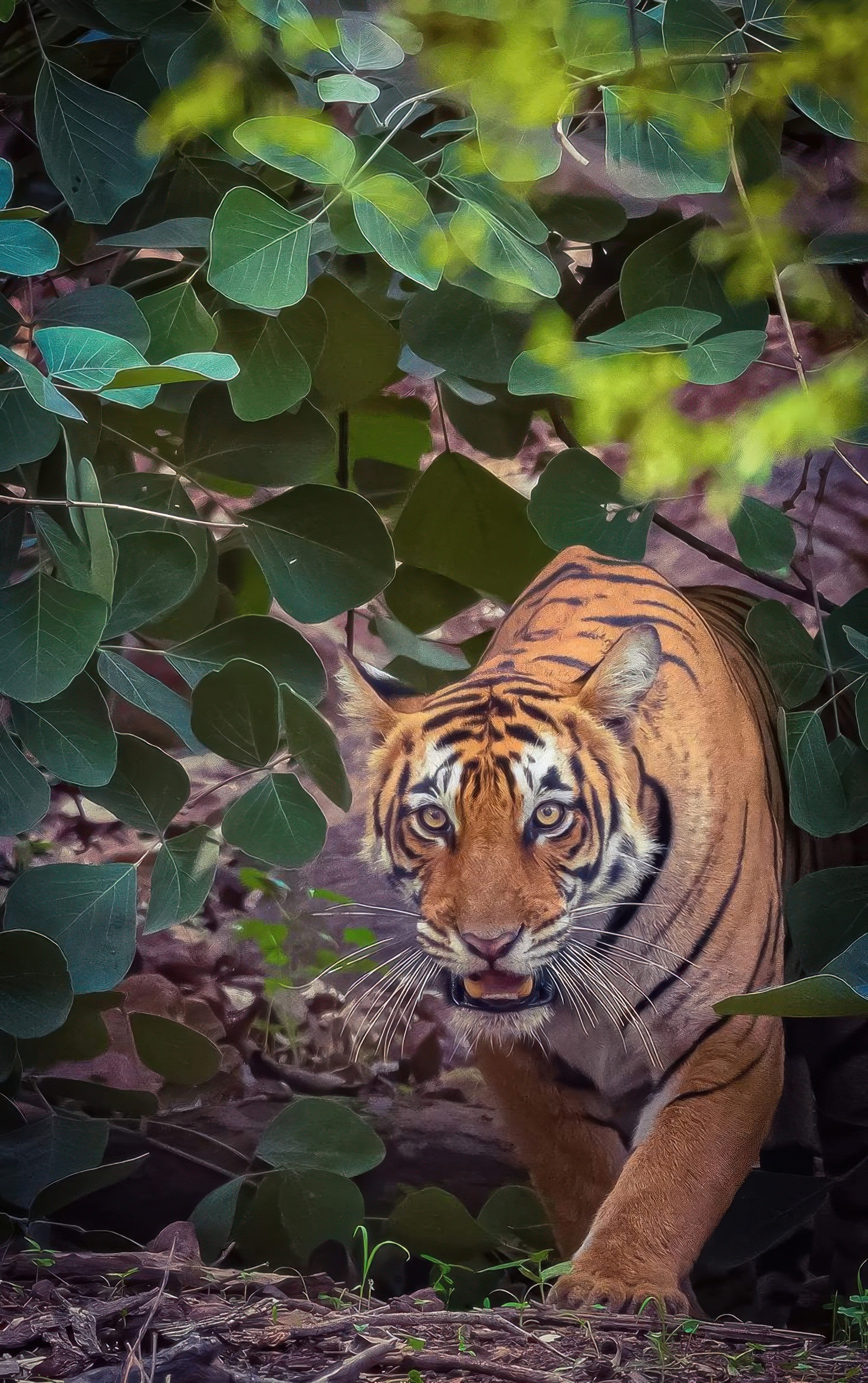 Beyond Tigers: Hidden Treasures of Sawai Madhopur